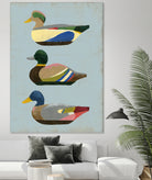 Decoy Ducks II by June Erica Vess on GIANT ART - animals nature birds