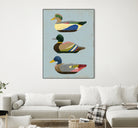 Decoy Ducks II by June Erica Vess on GIANT ART - animals nature birds