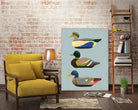 Decoy Ducks II by June Erica Vess on GIANT ART - animals nature birds