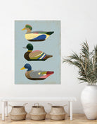 Decoy Ducks II by June Erica Vess on GIANT ART - animals nature birds