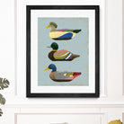 Decoy Ducks II by June Erica Vess on GIANT ART - animals nature birds