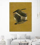 Copilots I by Grace Popp on GIANT ART - animals nature birds