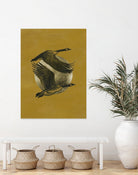 Copilots I by Grace Popp on GIANT ART - animals nature birds