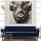 Western Plains Portrait I by Walker Noble on GIANT ART - animals nature horses