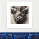 Western Plains Portrait I by Walker Noble on GIANT ART - animals nature horses