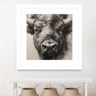 Western Plains Portrait I by Walker Noble on GIANT ART - animals nature horses