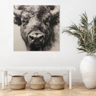 Western Plains Portrait I by Walker Noble on GIANT ART - animals nature horses