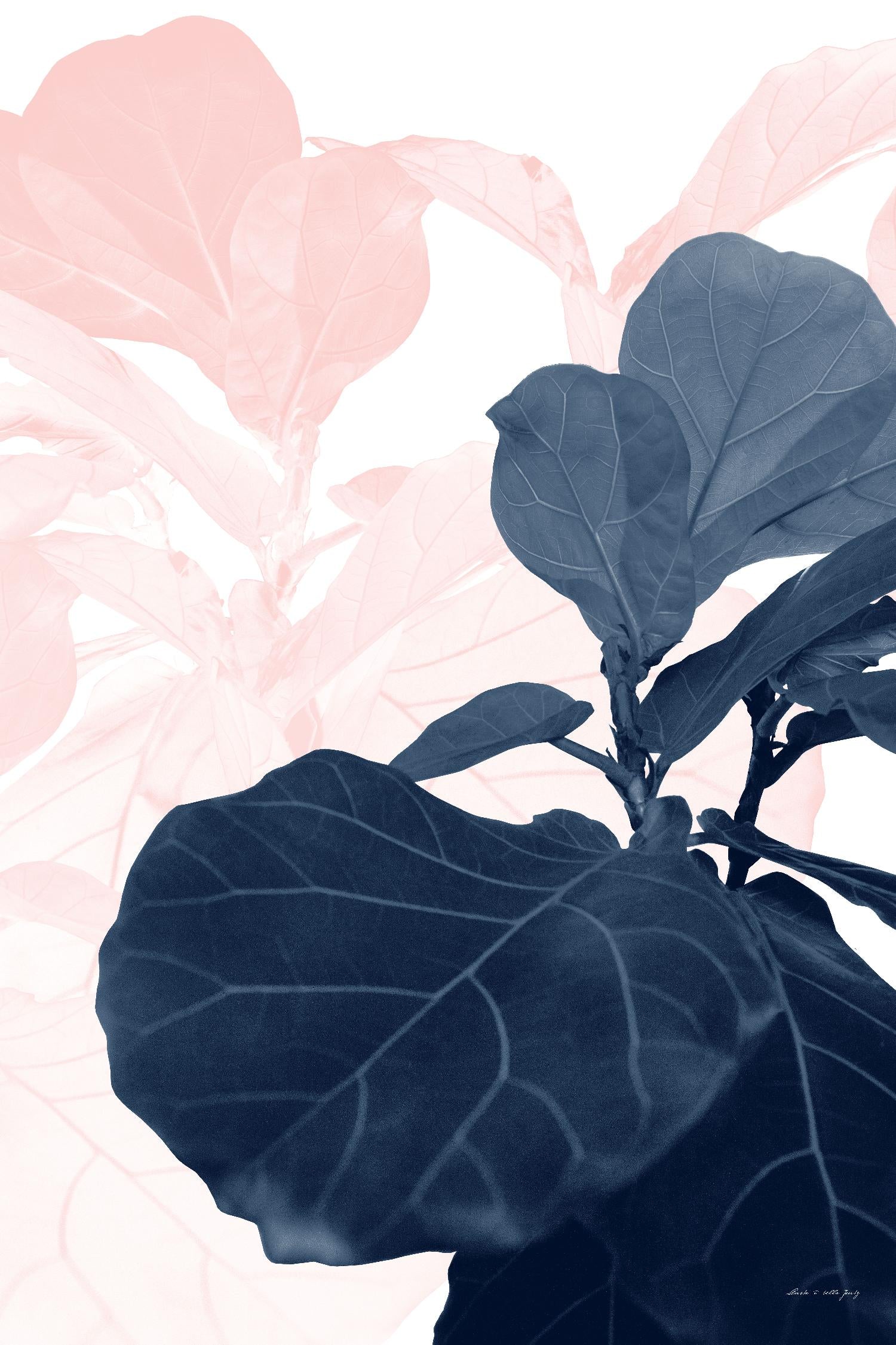 Blush Blue Fiddle Leaf Dream #1 #tropical #decor #art by Anita's & Bella's Art on GIANT ART