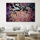 Purple Rust Up Close I by Jean-François Dupuis on GIANT ART - pink abstract canadian artists