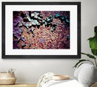Purple Rust Up Close I by Jean-François Dupuis on GIANT ART - pink abstract canadian artists