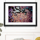 Purple Rust Up Close I by Jean-François Dupuis on GIANT ART - pink abstract canadian artists