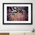 Purple Rust Up Close I by Jean-François Dupuis on GIANT ART - pink abstract canadian artists