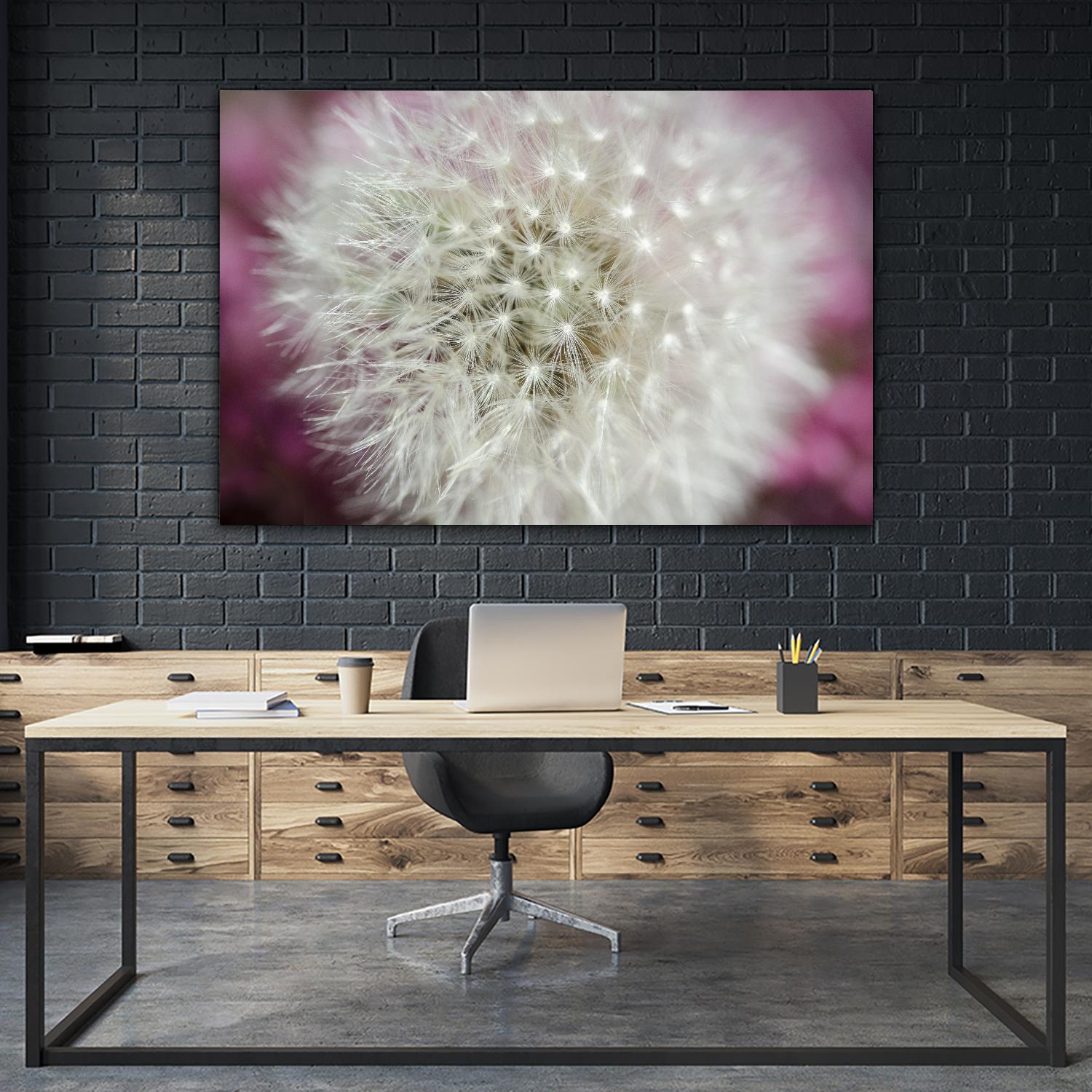 Dandelion on a rose by Nick Jackson on GIANT ART - pink photo art