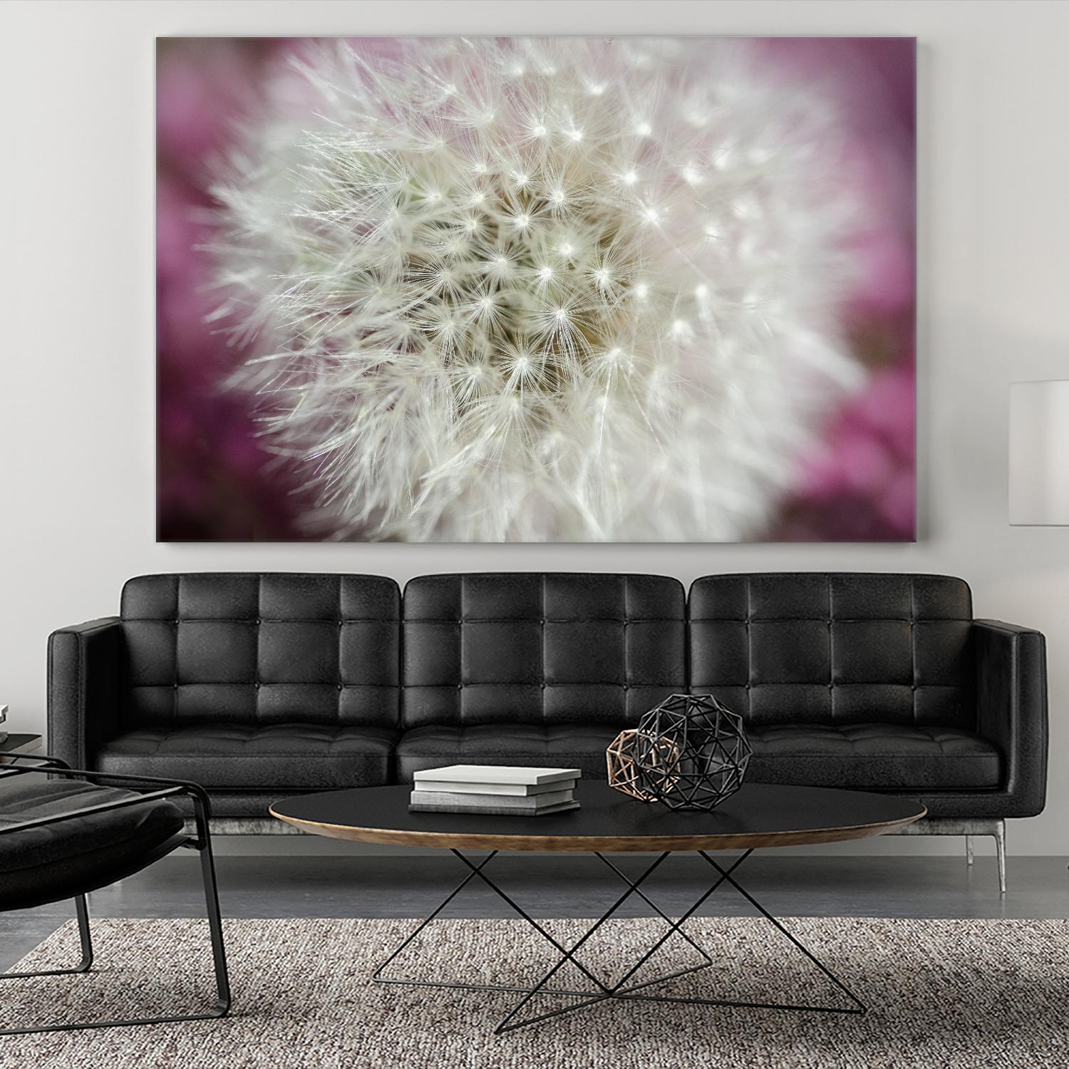 Dandelion on a rose by Nick Jackson on GIANT ART - pink photo art