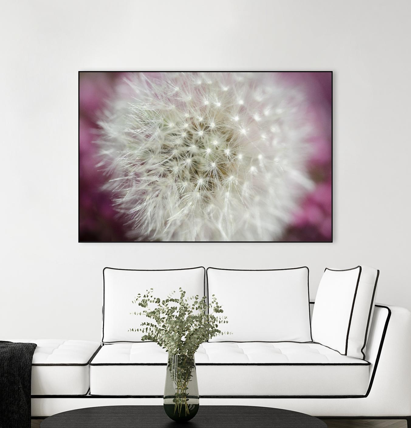 Dandelion on a rose by Nick Jackson on GIANT ART - pink photo art