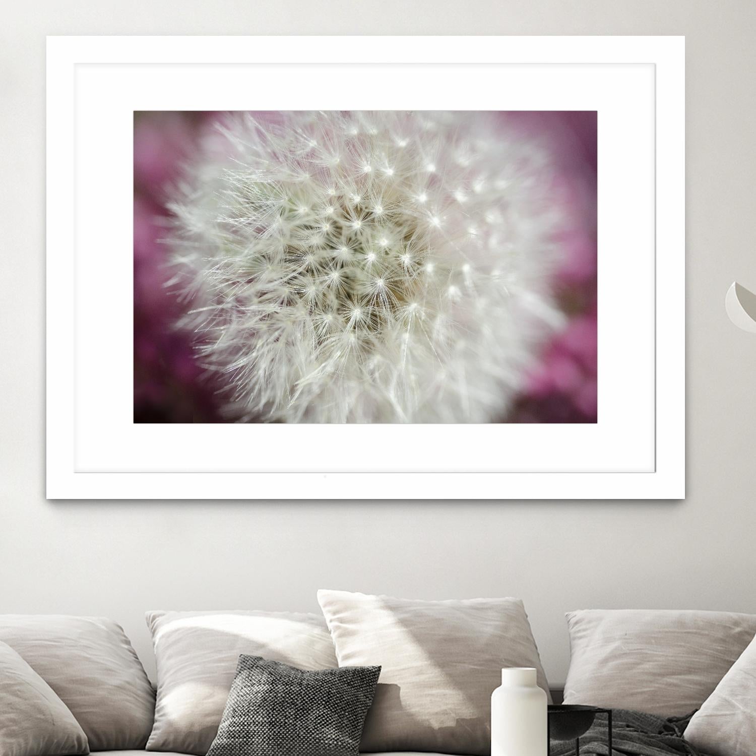 Dandelion on a rose by Nick Jackson on GIANT ART - pink photo art