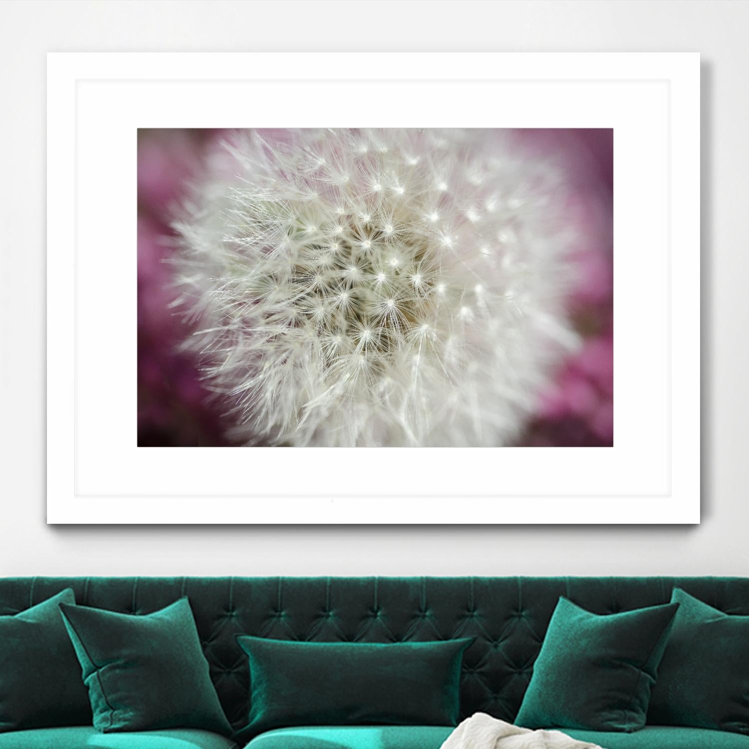 Dandelion on a rose by Nick Jackson on GIANT ART - pink photo art
