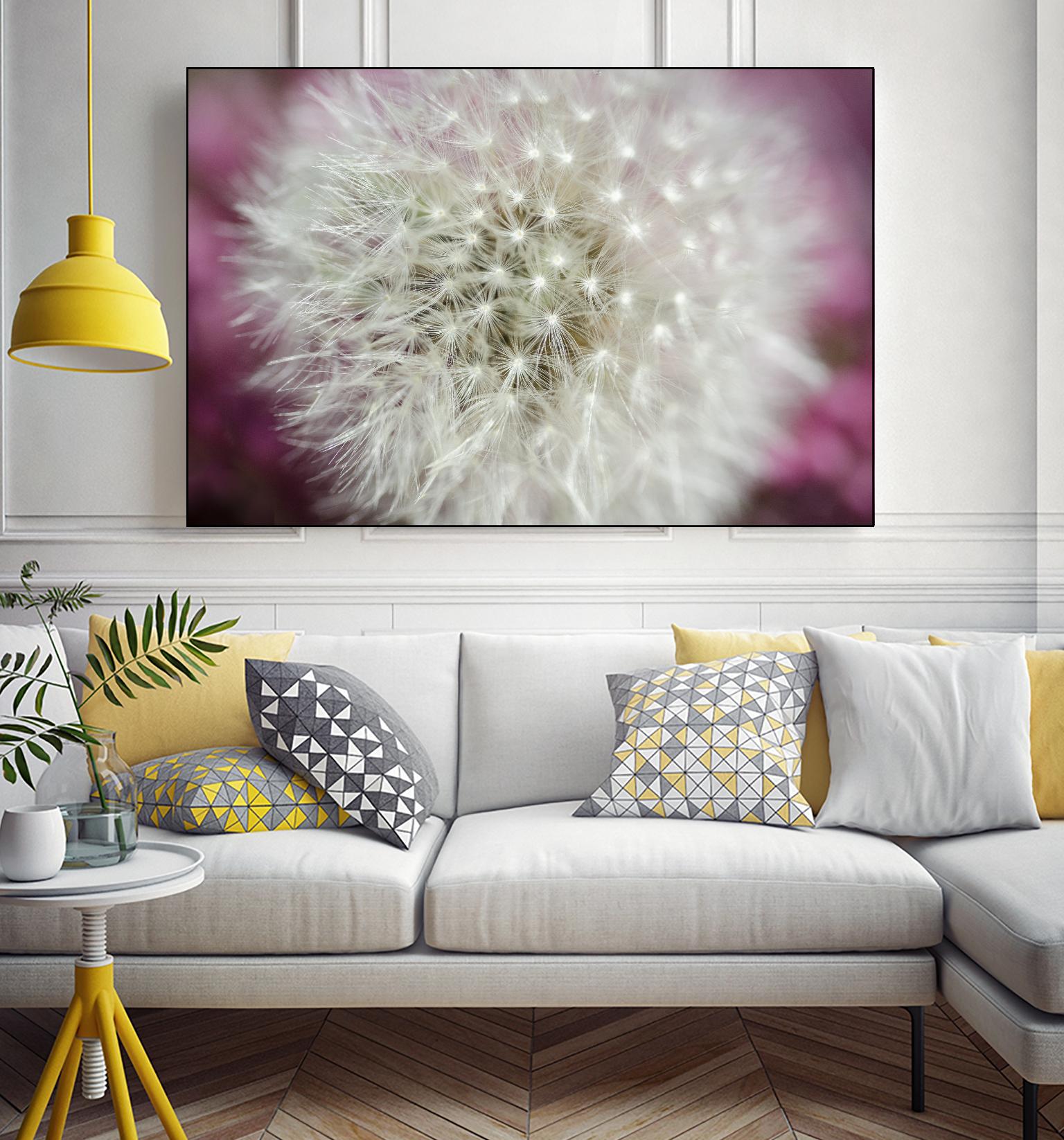Dandelion on a rose by Nick Jackson on GIANT ART - pink photo art