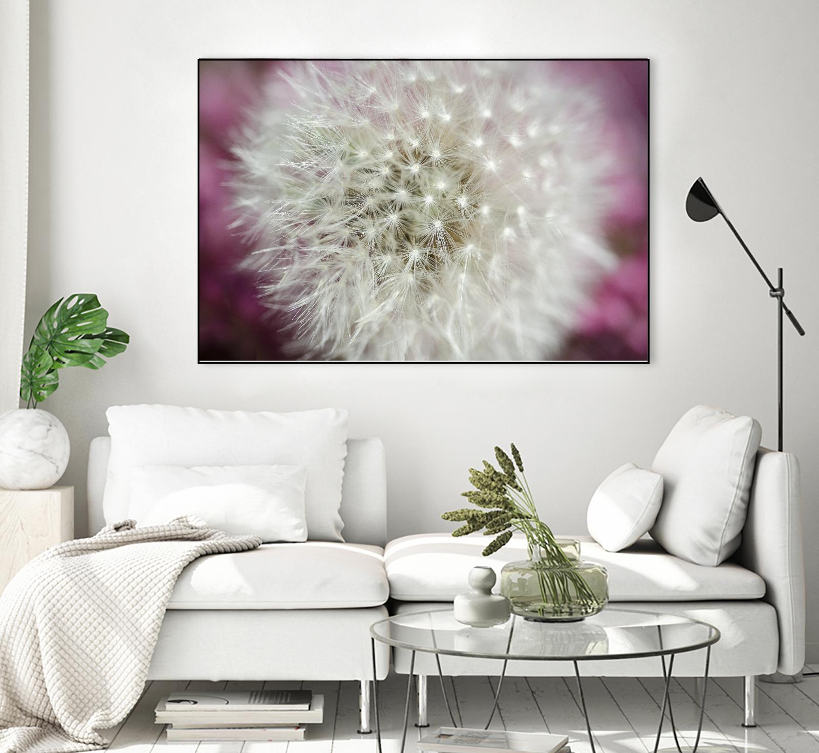 Dandelion on a rose by Nick Jackson on GIANT ART - pink photo art