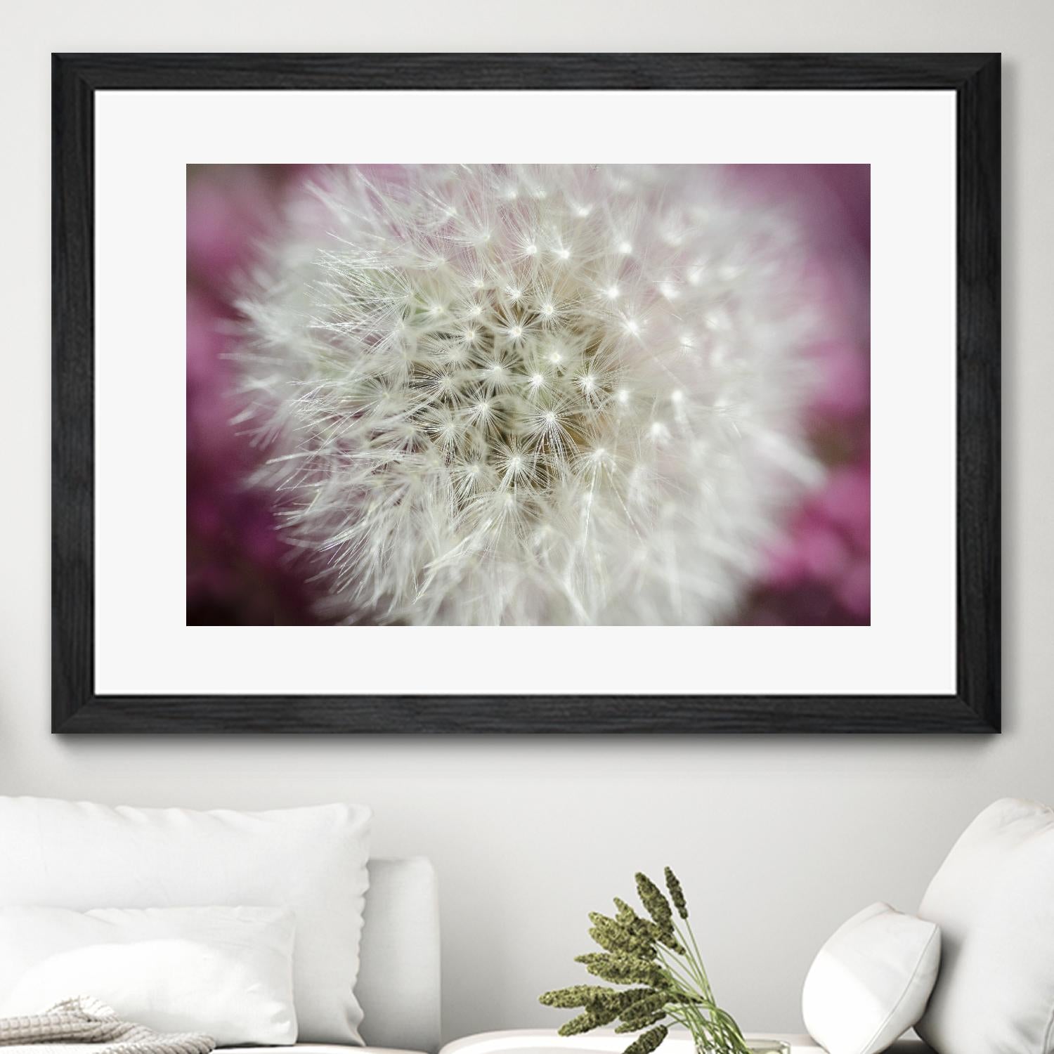 Dandelion on a rose by Nick Jackson on GIANT ART - pink photo art