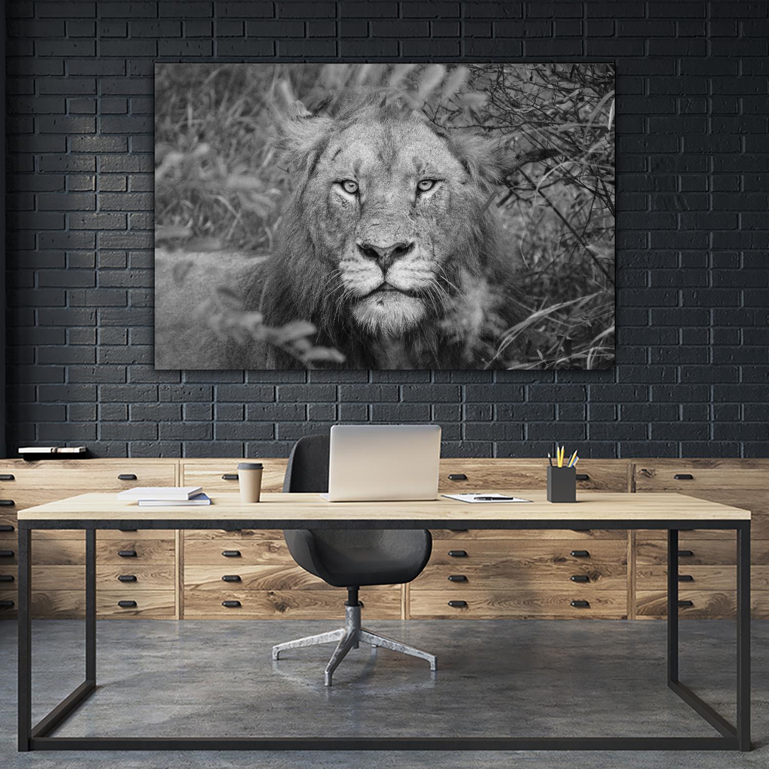 Into the eyes of the lion by Nick Jackson on GIANT ART - white animals