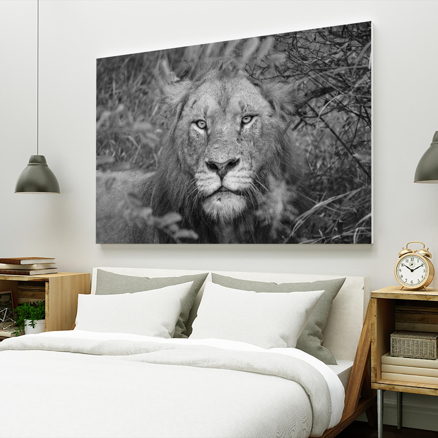 Into the eyes of the lion by Nick Jackson on GIANT ART - white animals
