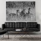 Safety in numbers by Nick Jackson on GIANT ART - white animals