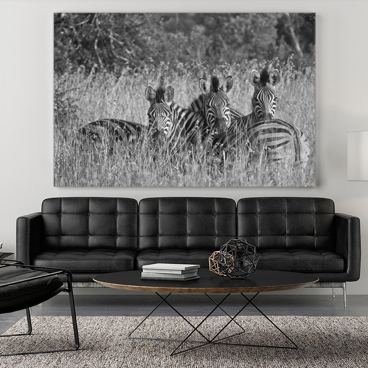 Safety in numbers by Nick Jackson on GIANT ART - white animals