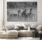 Safety in numbers by Nick Jackson on GIANT ART - white animals