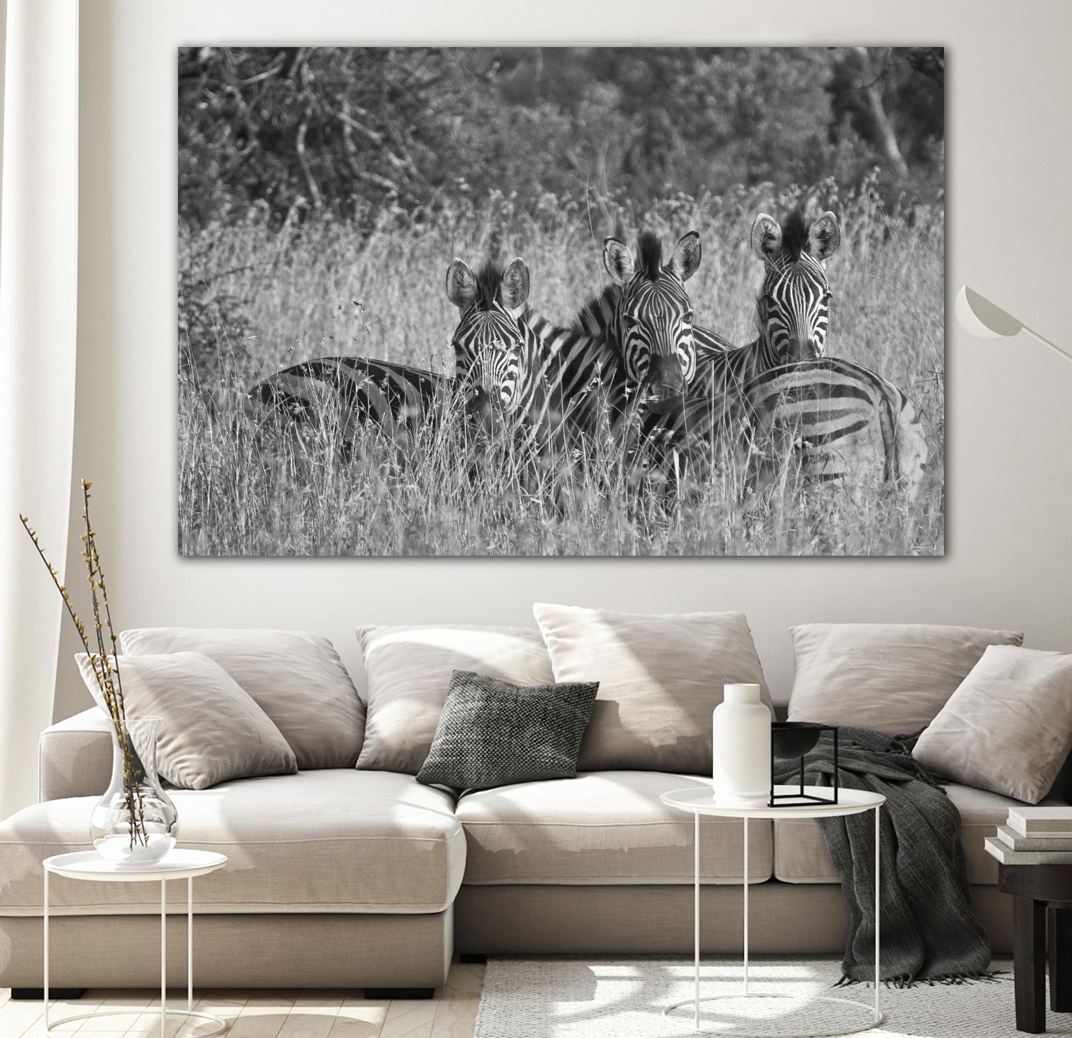 Safety in numbers by Nick Jackson on GIANT ART - white animals