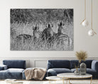 Safety in numbers by Nick Jackson on GIANT ART - white animals