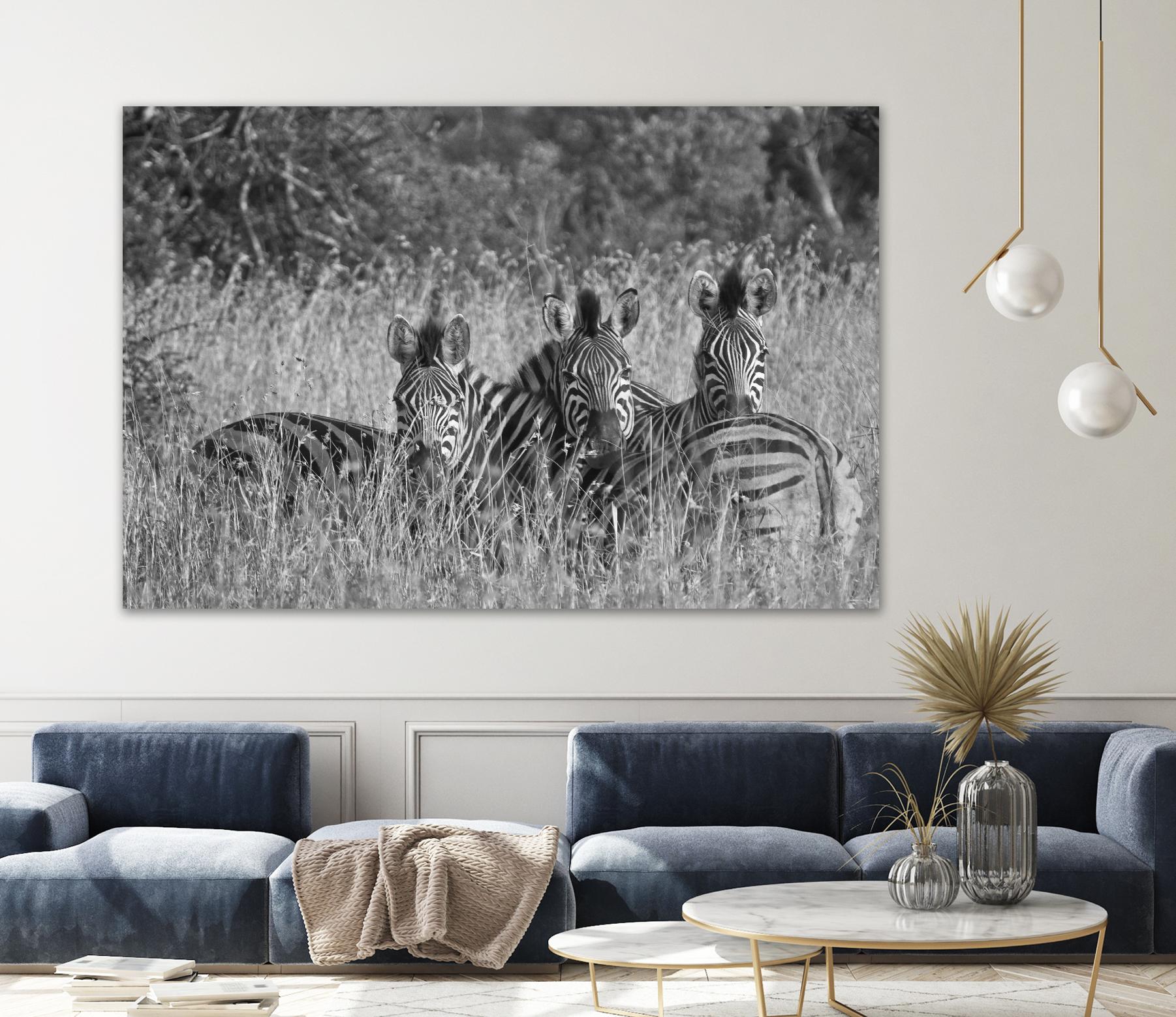 Safety in numbers by Nick Jackson on GIANT ART - white animals