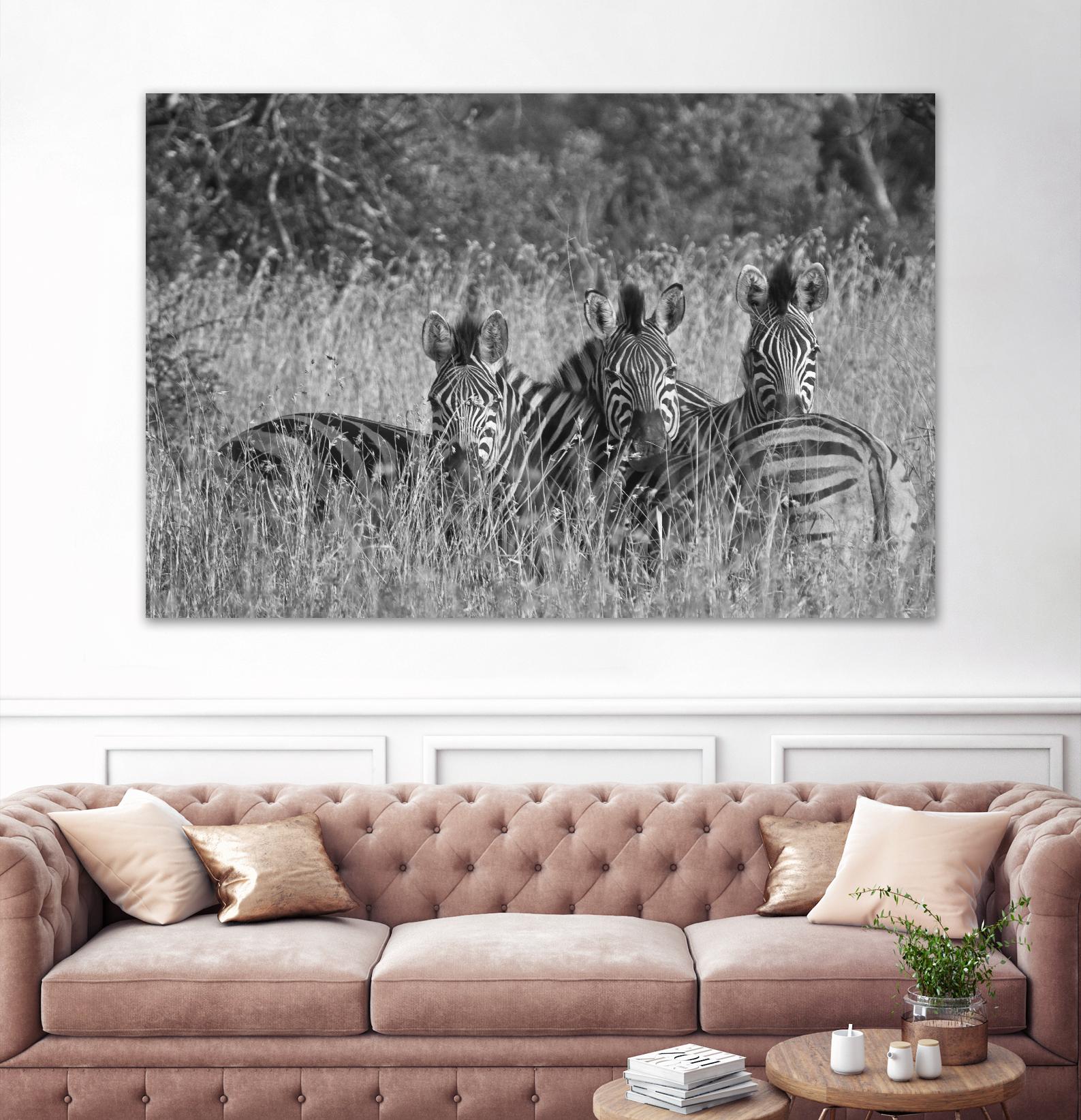Safety in numbers by Nick Jackson on GIANT ART - white animals