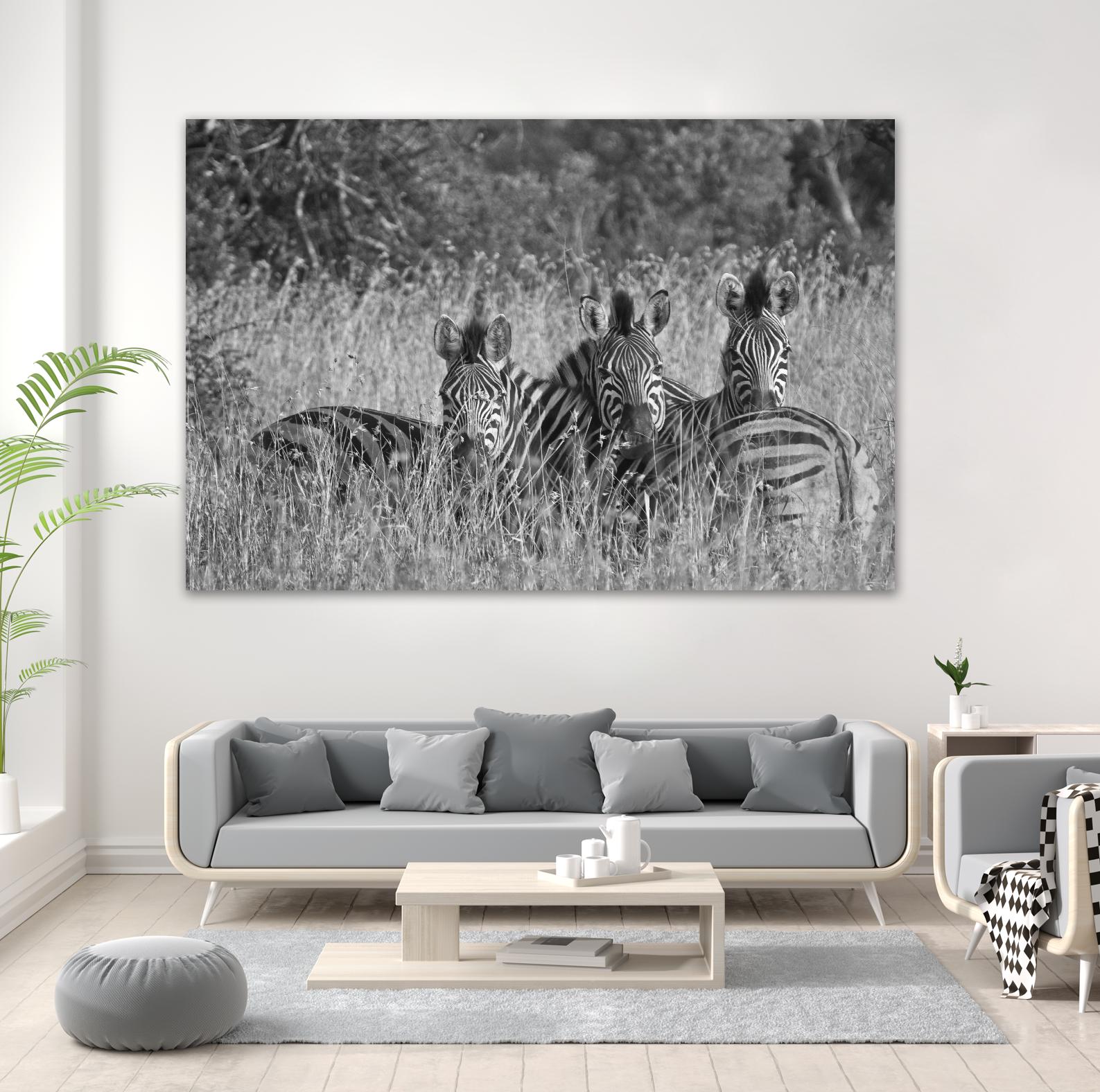 Safety in numbers by Nick Jackson on GIANT ART - white animals