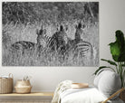 Safety in numbers by Nick Jackson on GIANT ART - white animals