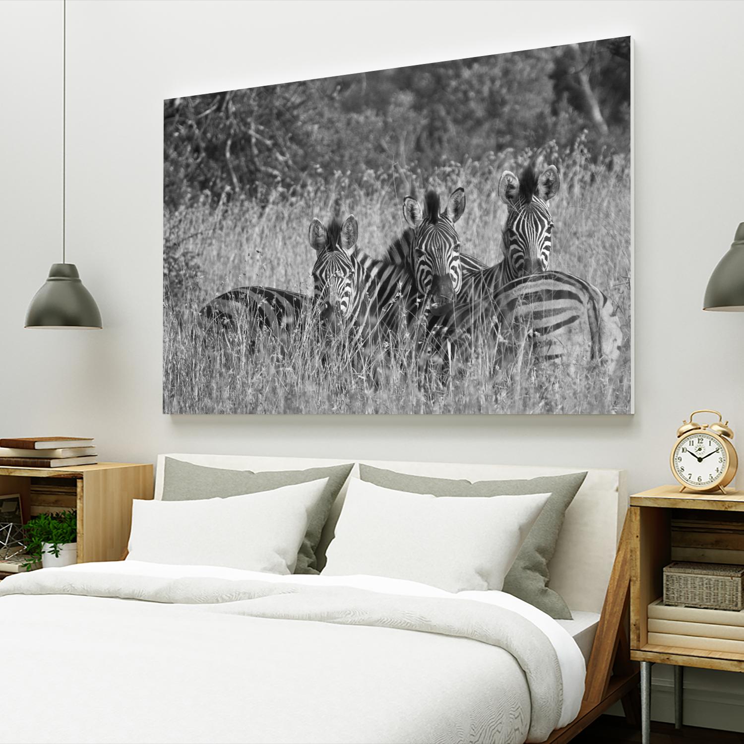 Safety in numbers by Nick Jackson on GIANT ART - white animals