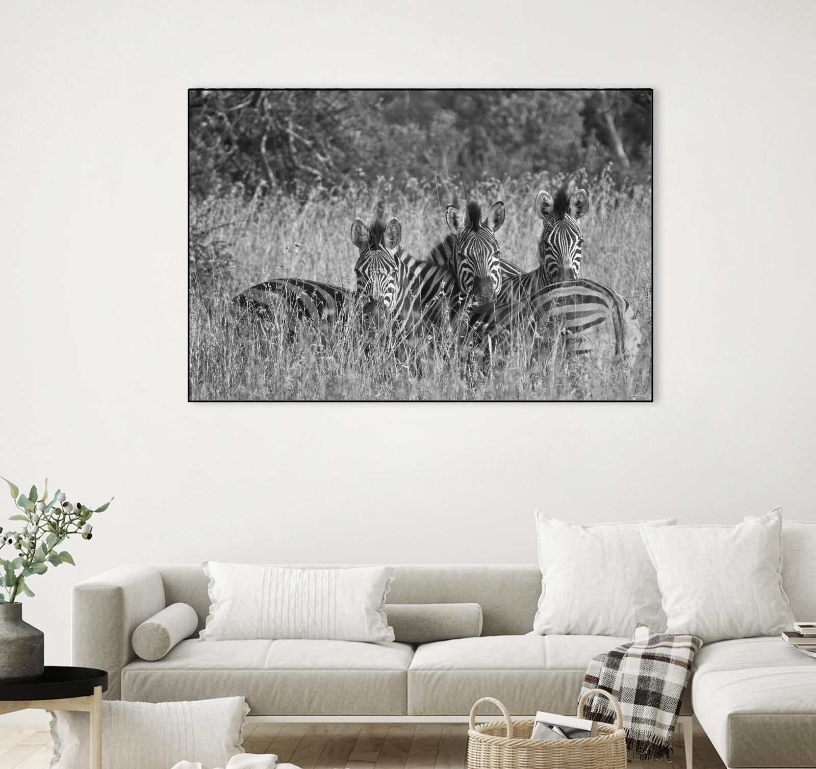 Safety in numbers by Nick Jackson on GIANT ART - white animals
