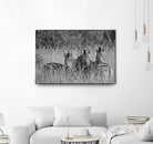 Safety in numbers by Nick Jackson on GIANT ART - white animals