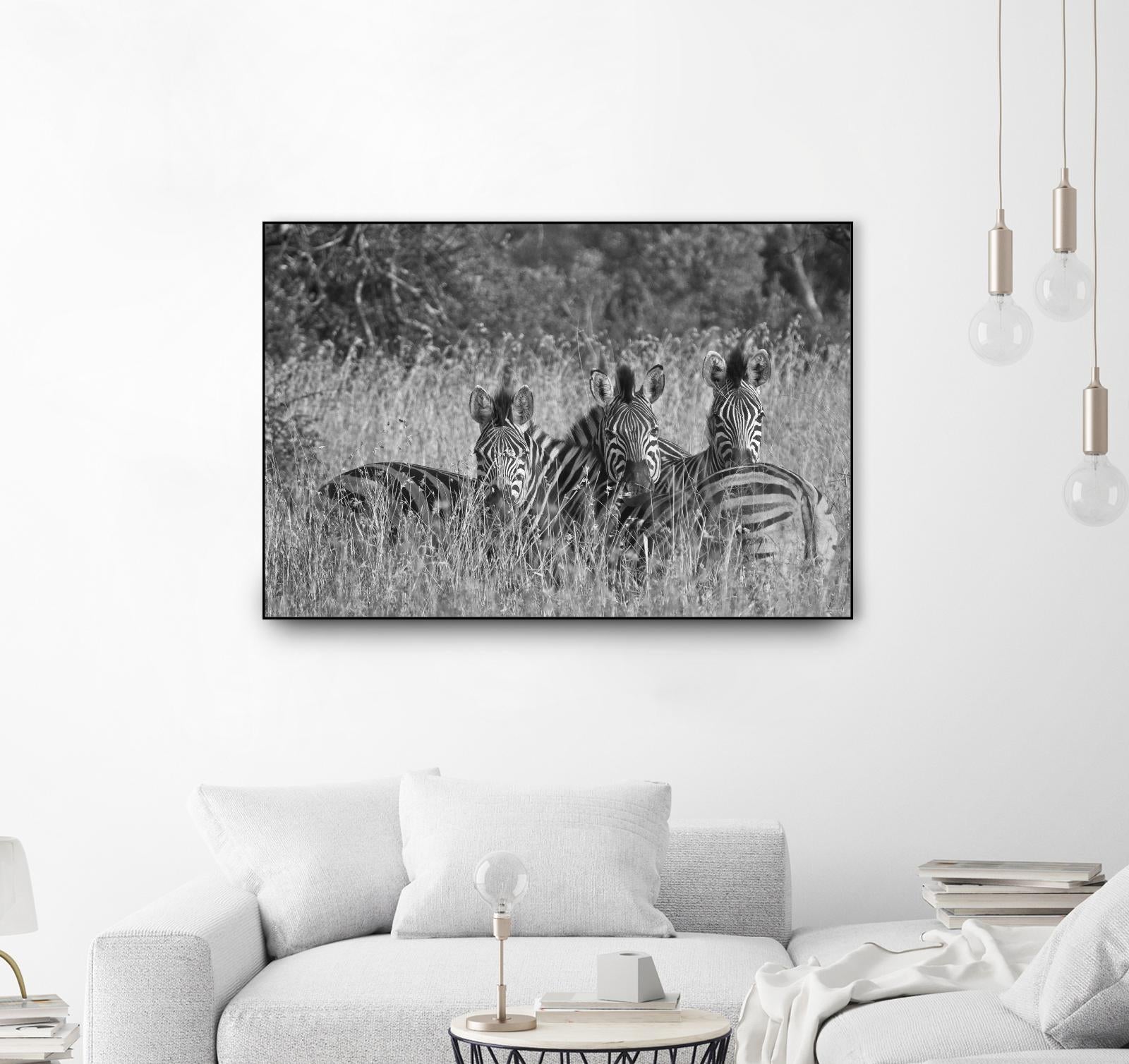 Safety in numbers by Nick Jackson on GIANT ART - white animals