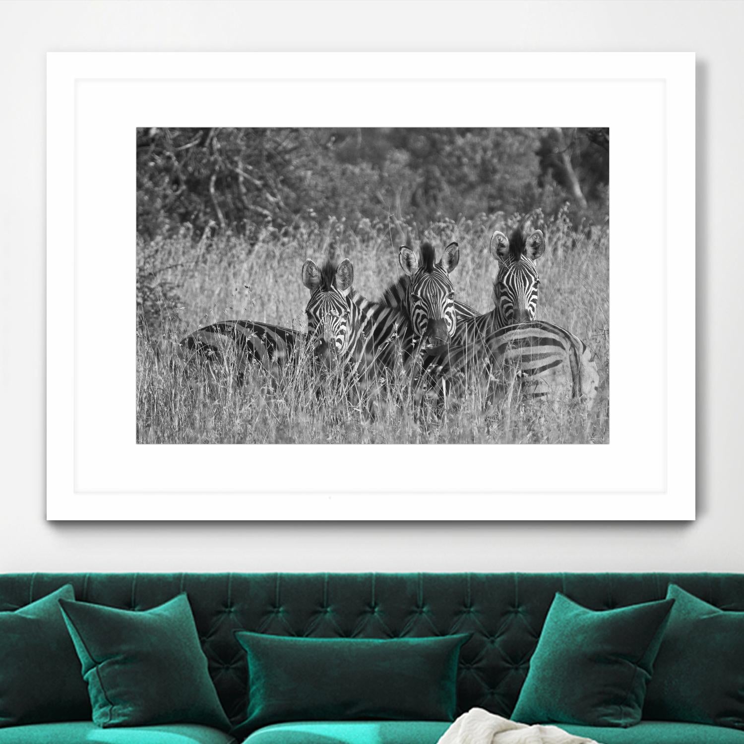 Safety in numbers by Nick Jackson on GIANT ART - white animals