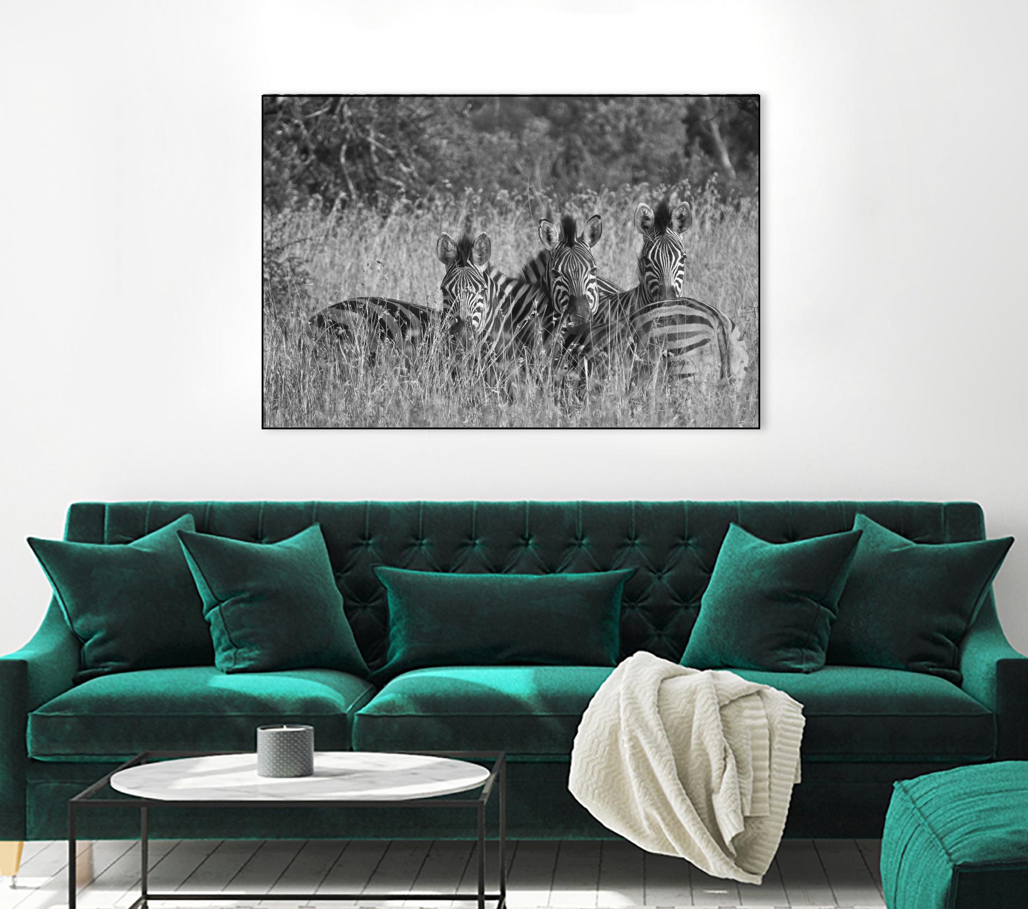 Safety in numbers by Nick Jackson on GIANT ART - white animals