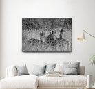 Safety in numbers by Nick Jackson on GIANT ART - white animals