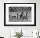 Safety in numbers by Nick Jackson on GIANT ART - white animals