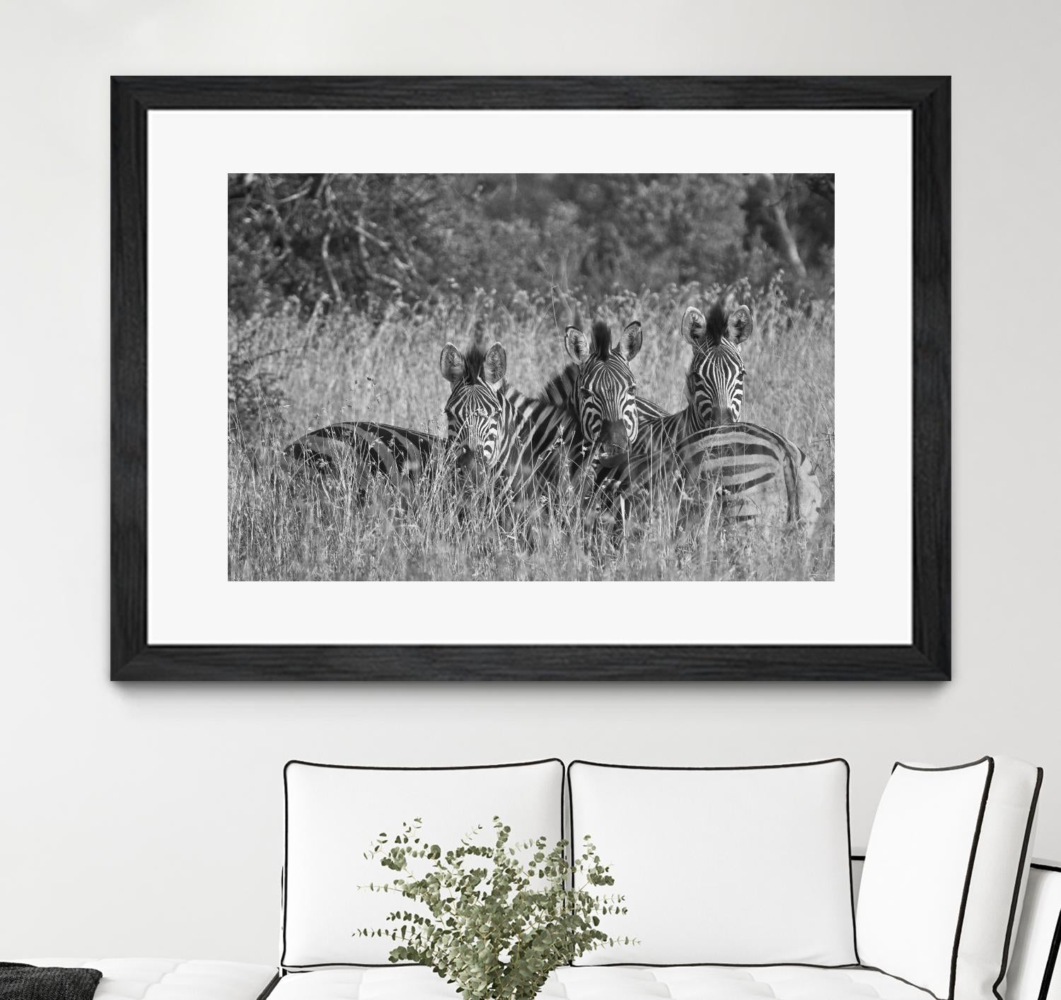 Safety in numbers by Nick Jackson on GIANT ART - white animals