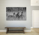 Safety in numbers by Nick Jackson on GIANT ART - white animals