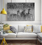 Safety in numbers by Nick Jackson on GIANT ART - white animals