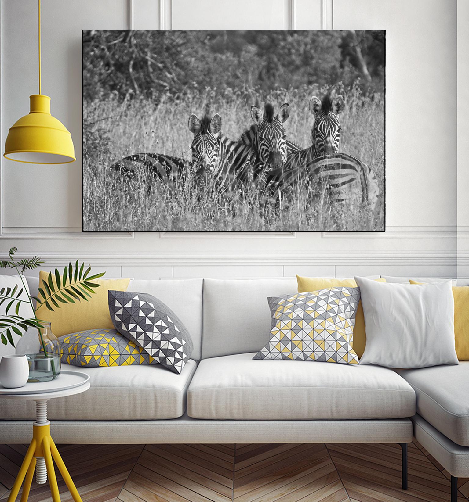 Safety in numbers by Nick Jackson on GIANT ART - white animals