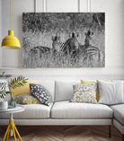 Safety in numbers by Nick Jackson on GIANT ART - white animals