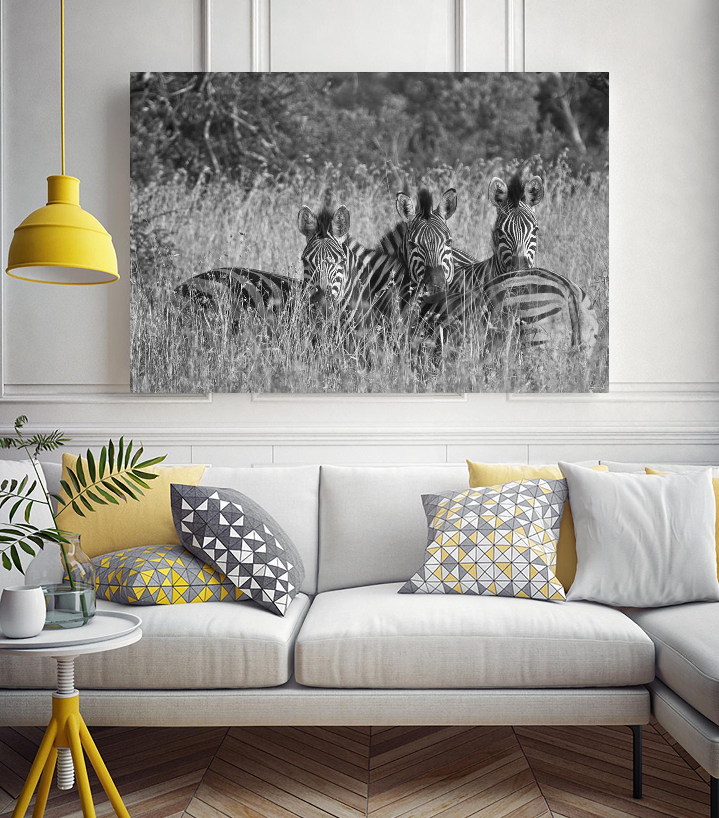 Safety in numbers by Nick Jackson on GIANT ART - white animals