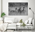 Safety in numbers by Nick Jackson on GIANT ART - white animals